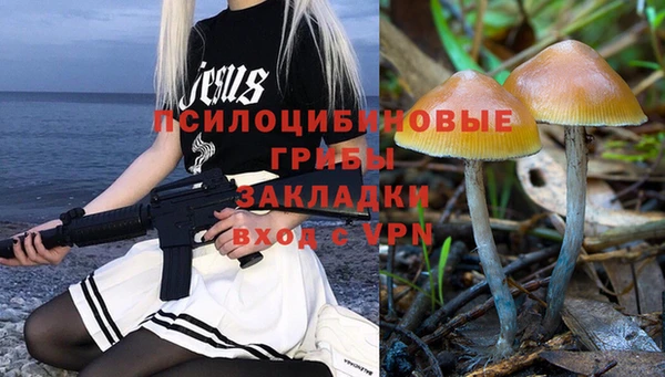 ALPHA-PVP Алексеевка