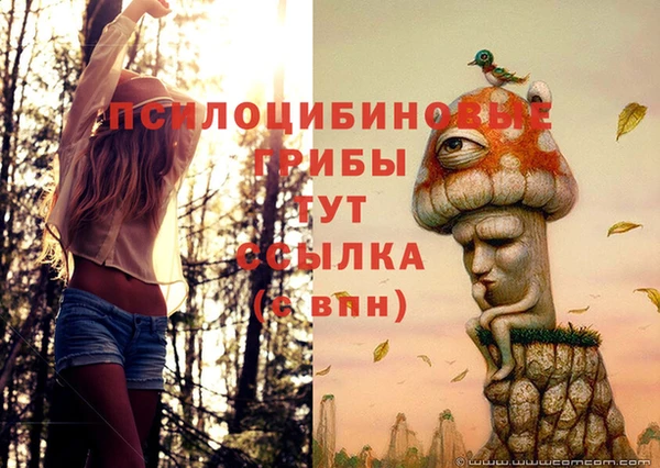героин Алексин