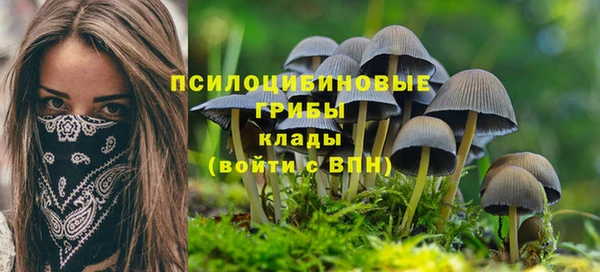 ALPHA-PVP Алексеевка