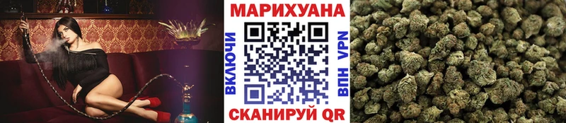 дарк нет какой сайт  Петушки  Канабис сатива 
